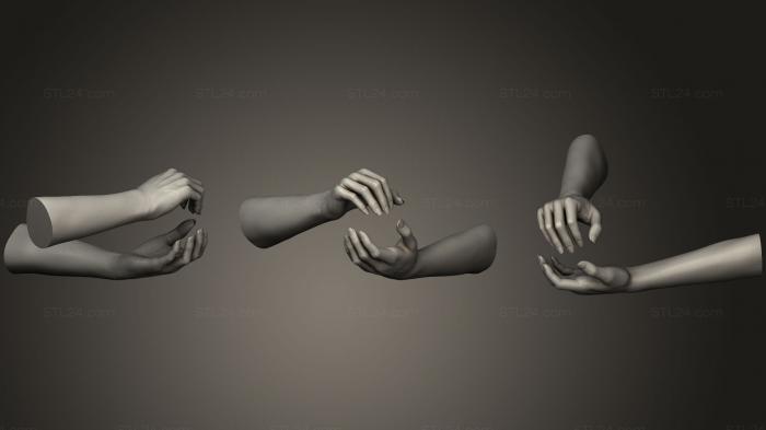 Anatomy of skeletons and skulls (Female Hands 16, ANTM_0485) 3D models for cnc